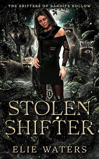 Stolen Shifter romance ebook